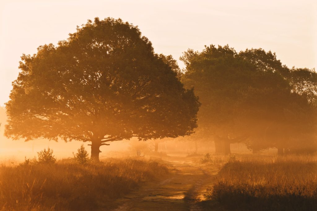 Landschaftsbild